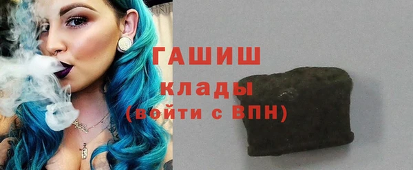 индика Елабуга