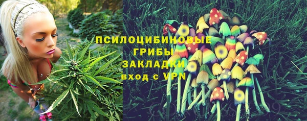 мдма Заводоуковск
