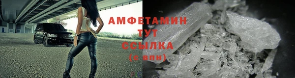 индика Елабуга