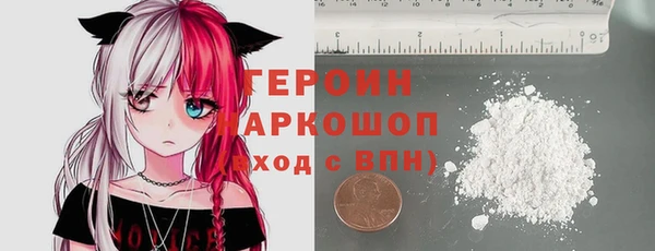 индика Елабуга