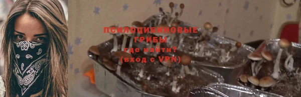 мдма Заводоуковск