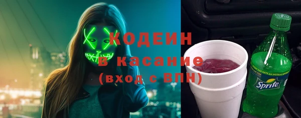 индика Елабуга