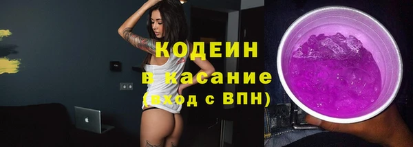 индика Елабуга