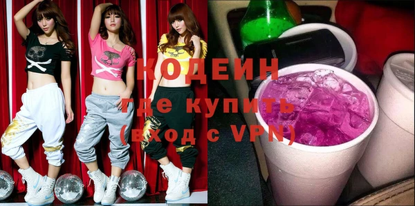 индика Елабуга