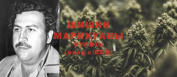 сатива Елизово
