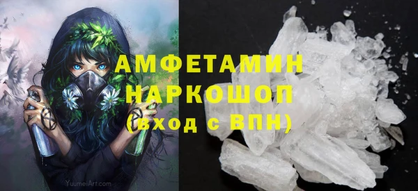 индика Елабуга
