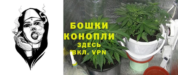 сатива Елизово