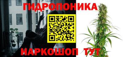 стафф Ачхой-Мартан