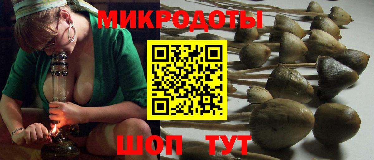 Галлюциногенные грибы GOLDEN TEACHER  Вход с VPN  Псилоцибиновые грибы Psilocybe  Владикавказ 